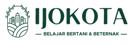 Logo Ijokota