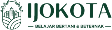 Ijokota, belajar bertani & beternak