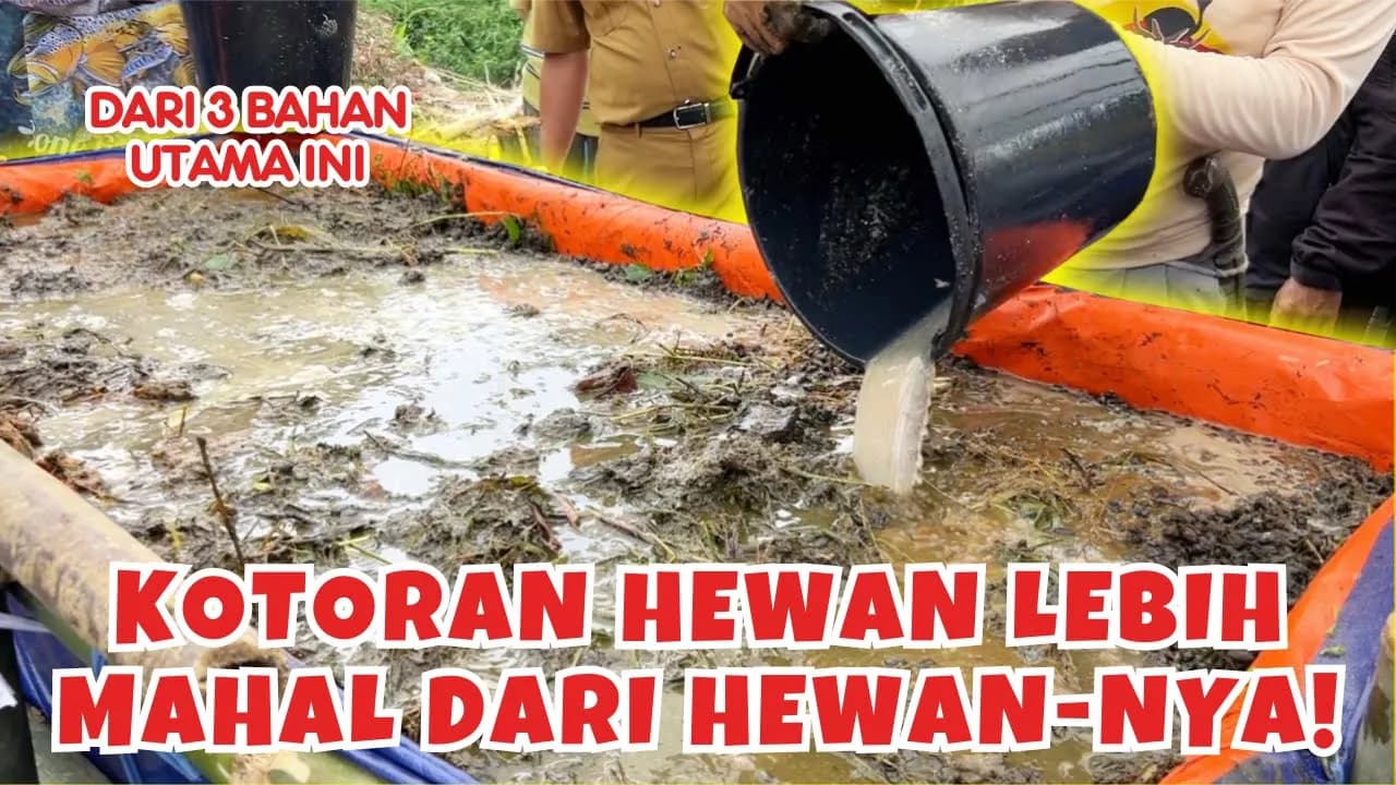 Cara Membuat Pupuk NPK Berimbang Organik untuk Tanaman Hortikultura