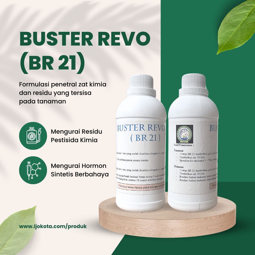 BR (Buster Revo)