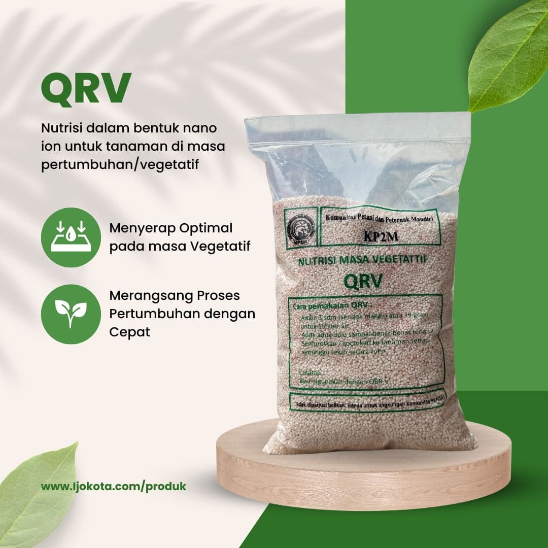 QRV (Quantum Rotan Vegetatif)