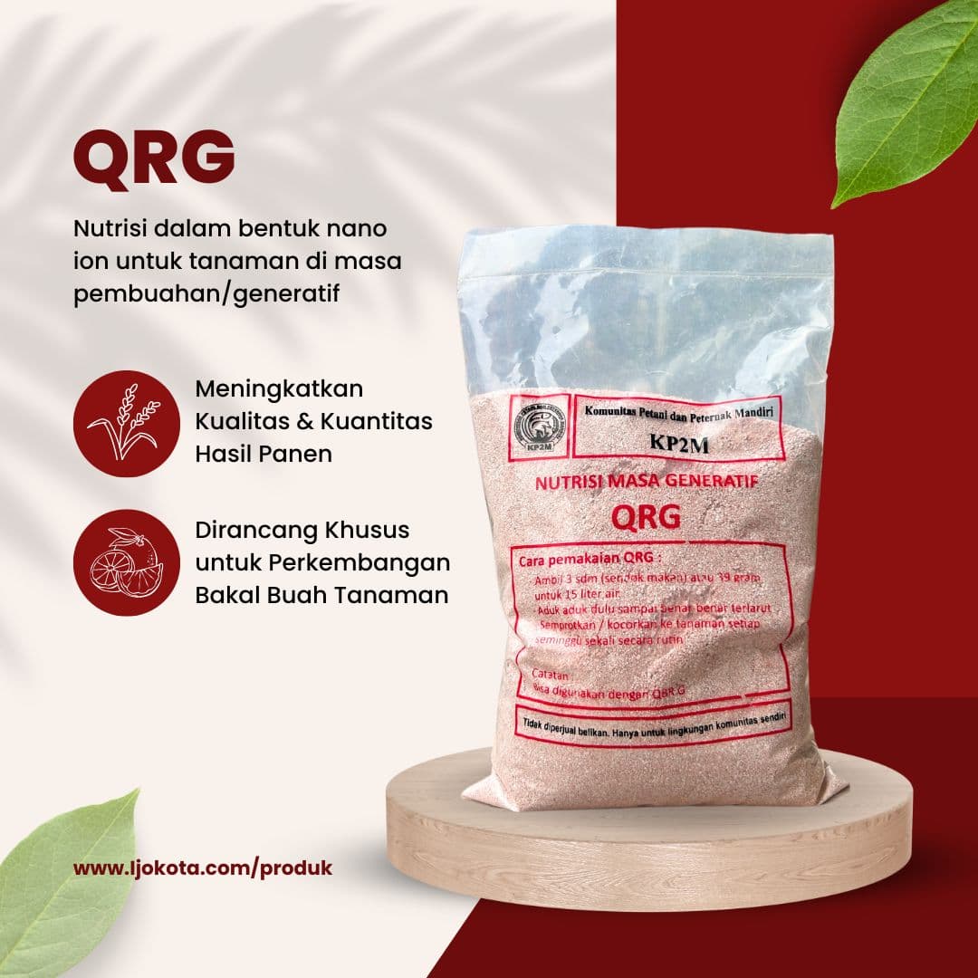 QRG (Quantum Rotan Generatif)