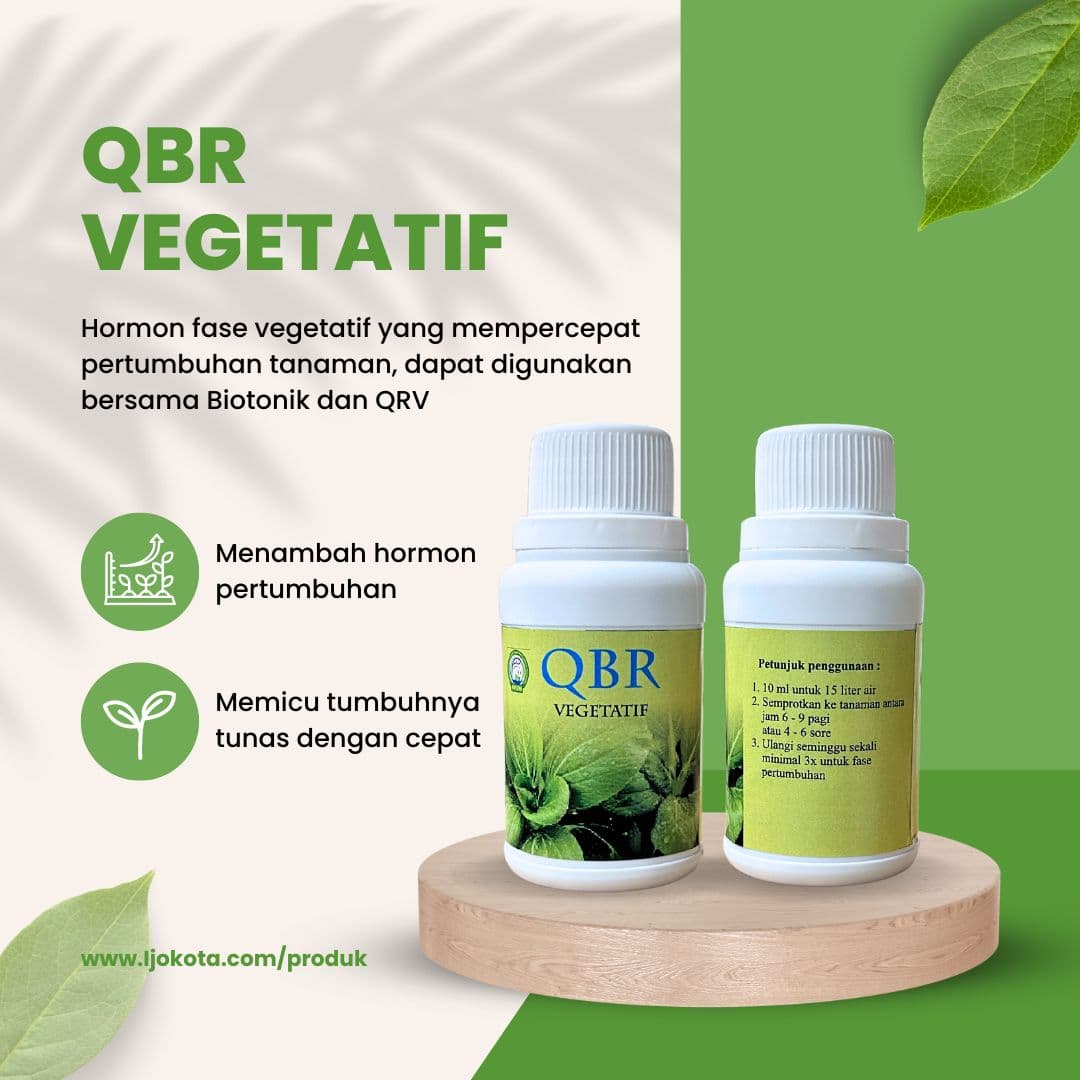 QBR Vegetatif