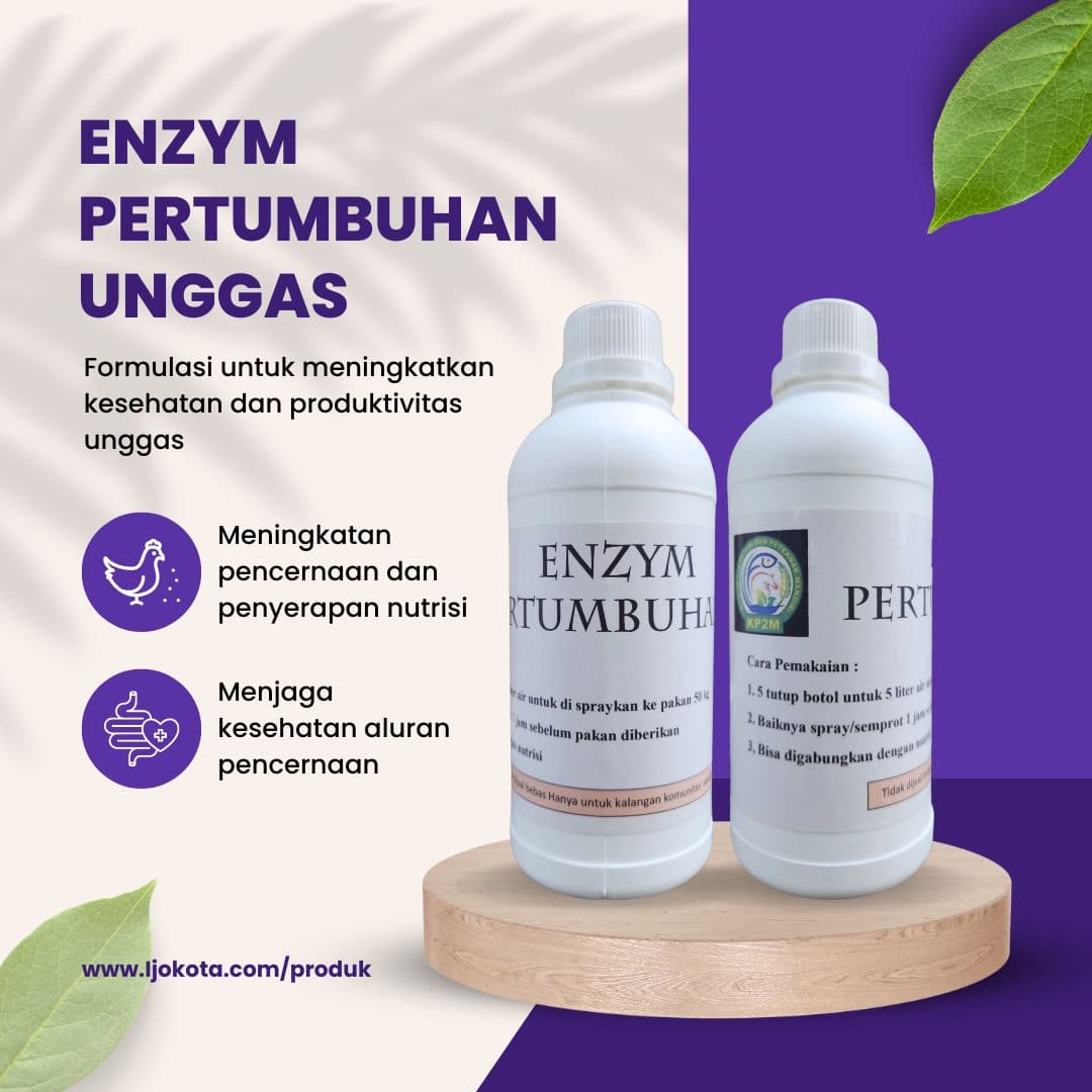 Enzim Pertumbuhan Unggas