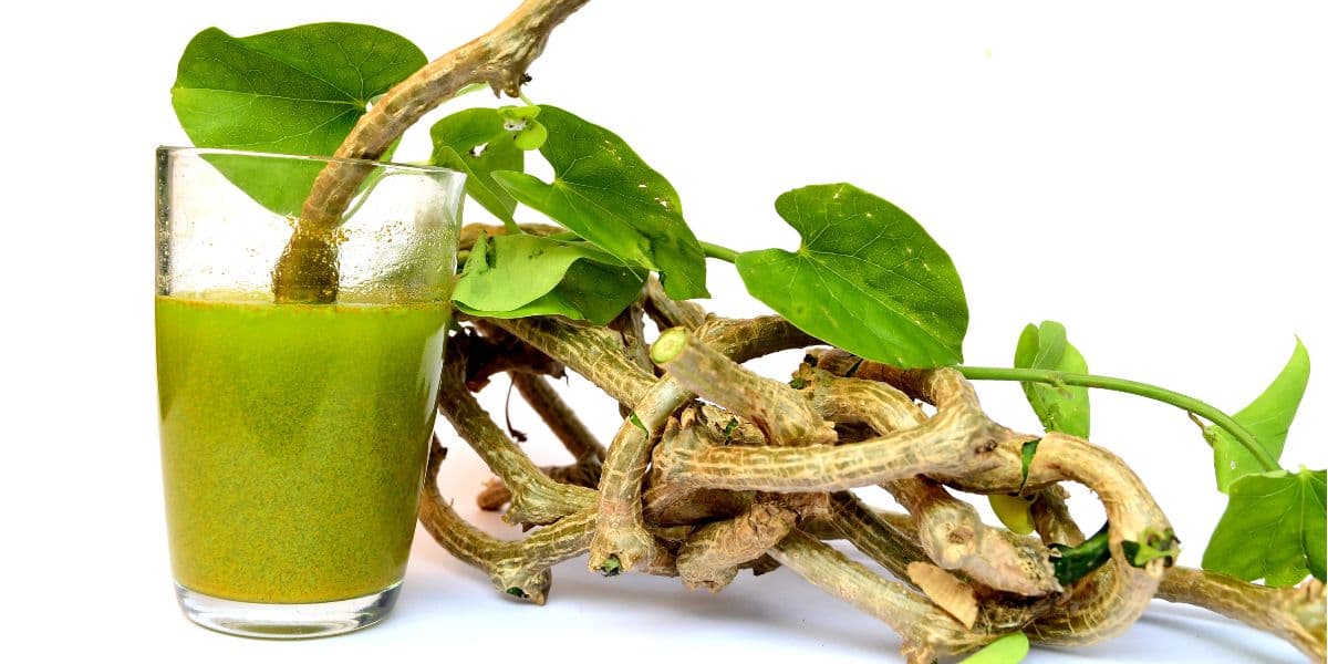 Herbal untuk Detox Racun