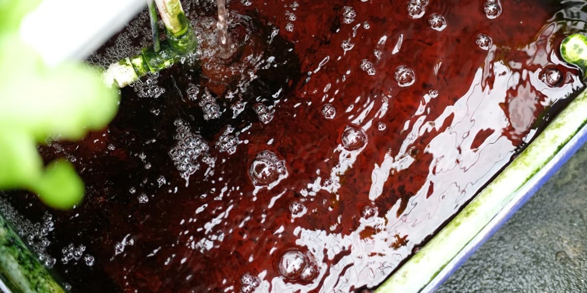 Cara Membuat Pupuk Hidroponik Organik ala KP2M
