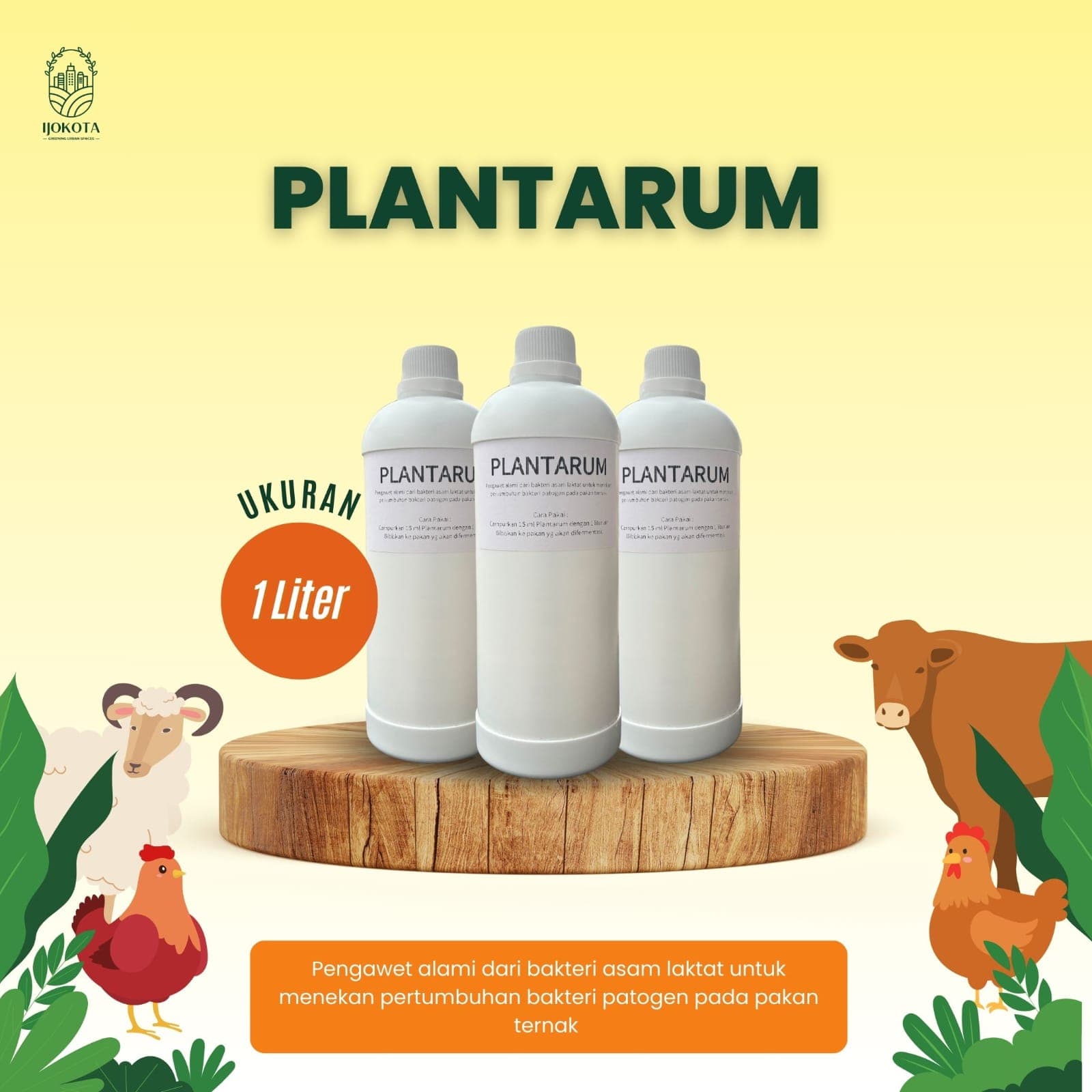 Plantarum