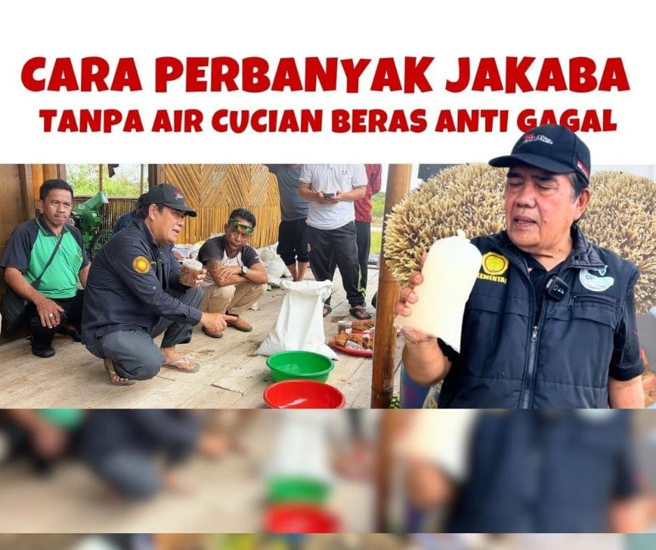 Cara Memperbanyak Jakaba Anti Gagal