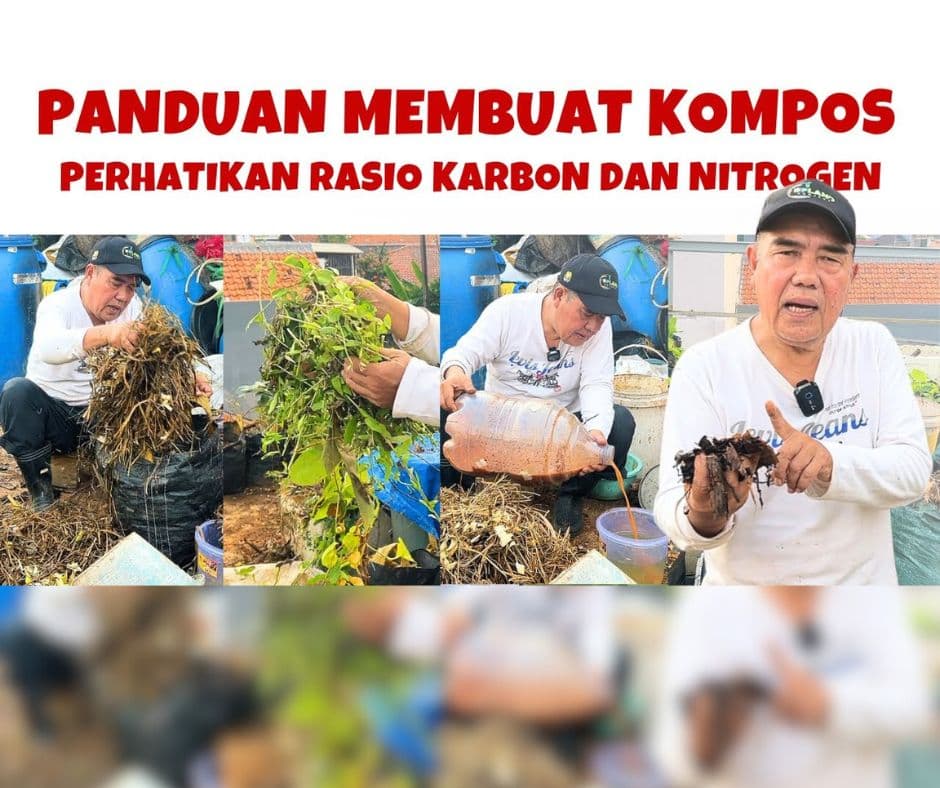Panduan Lengkap Cara Membuat Kompos dengan Rasio C/N yang Tepat