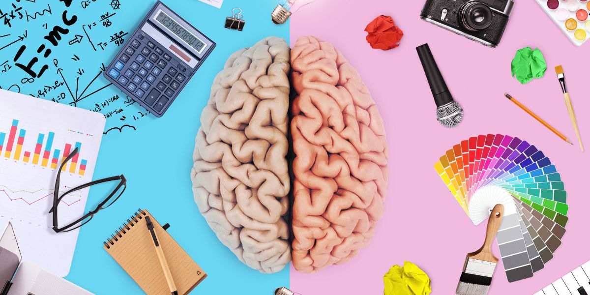 brain