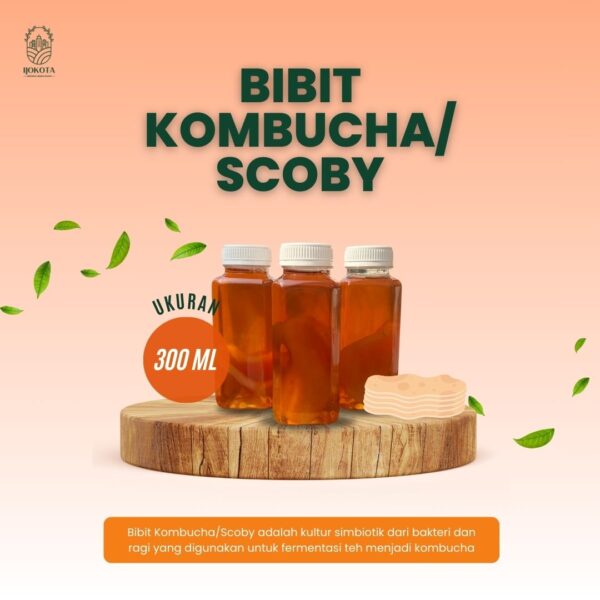 Scoby