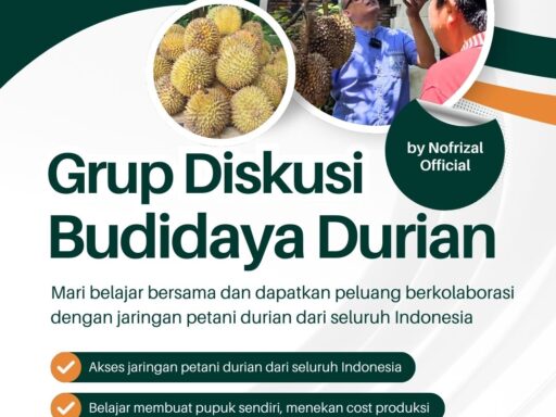 Dark Green and Orange Modern Leadership Training Workshops Instagram Post