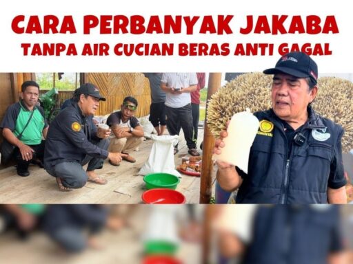 cara memperbanyak jakaba